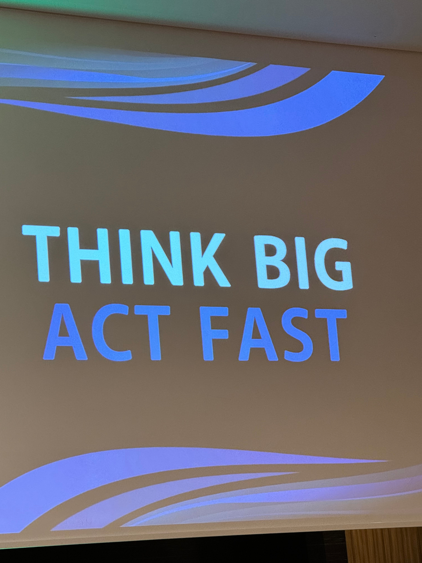 Think Big, Act Fast